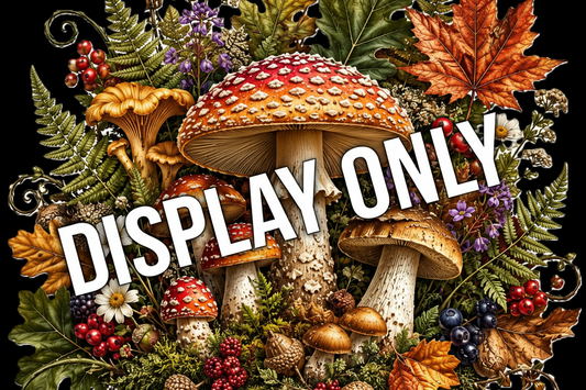 STD-031 Woodland Harvest — Crave Standard Collection — Display Only