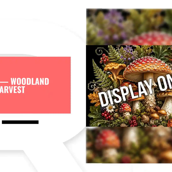 STD-031 &mdash; Woodland Harvest by@Outfy