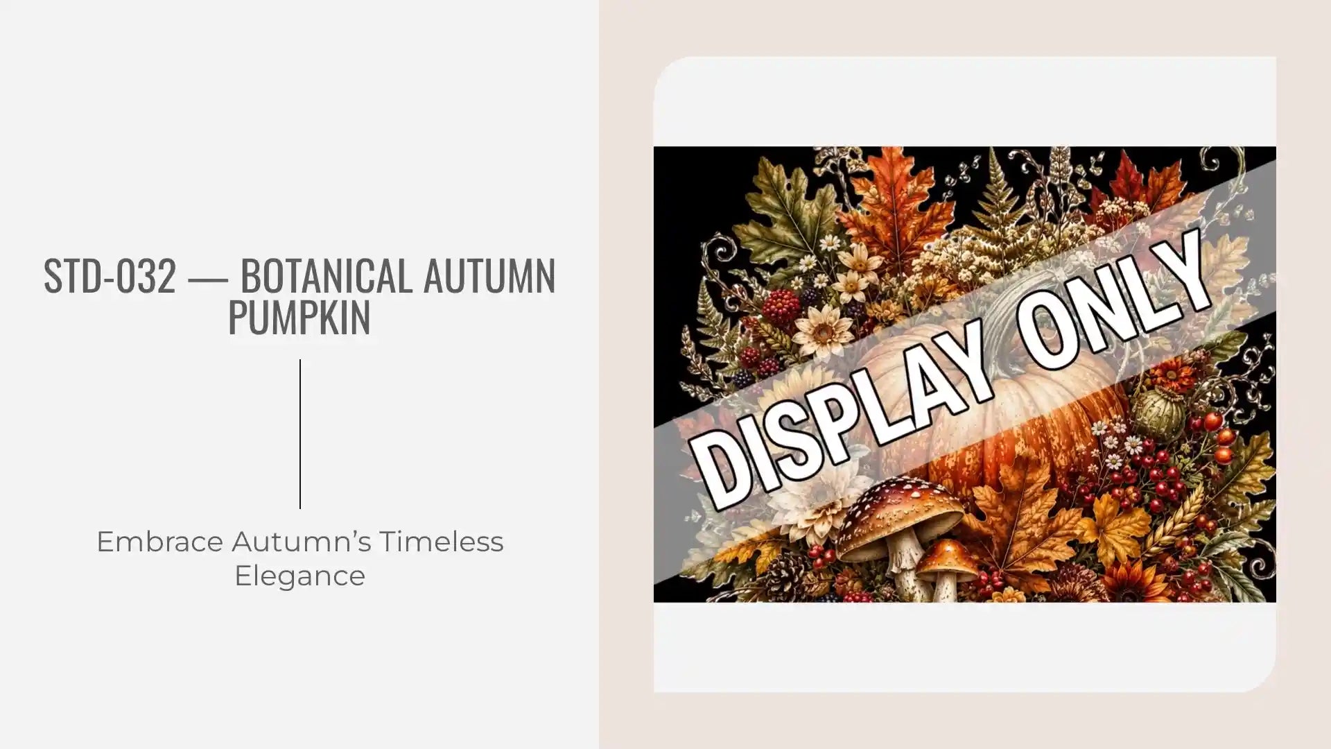 STD-032 &mdash; Botanical Autumn Pumpkin by@Outfy